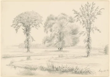 Landschap met drie bomen