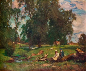 De weide