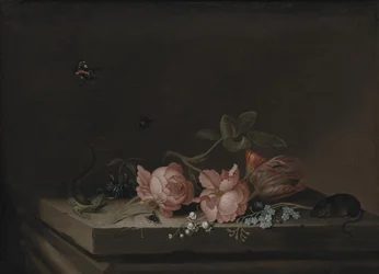 Bloemen