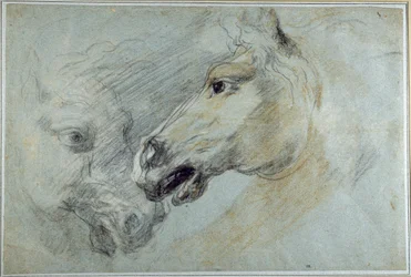 Twee studies van een paardenhoofd