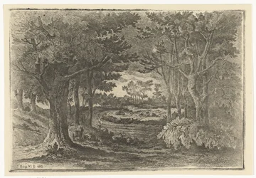 Boslandschap met vijf schapen