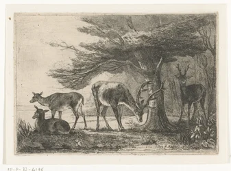 Bosrand met herten