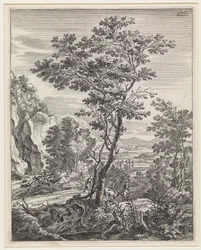 Landschap met een grote boom