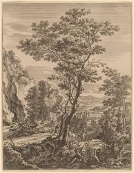 De grote boom