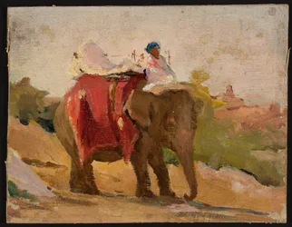 Chitorgarh - Mijn olifant. Van een reis naar India