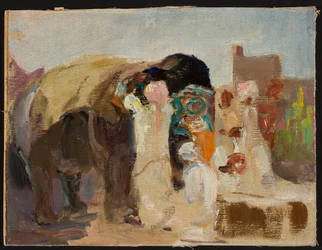 Jaipur - een olifant beschilderen. Van een reis naar India
