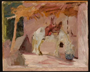 Pferd. Aus der Reise nach Turkestan