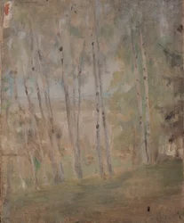 Mariino - Berken