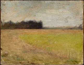 Landschap uit Finland