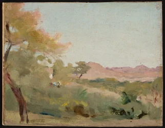 Udaipur - Indiaas landschap. Van een reis naar India