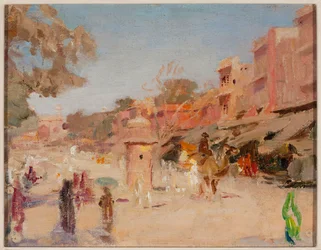 Straat in Jaipur. Van een reis naar India