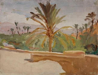 Biskra (Oase met palmbomen)
