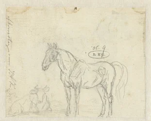 Schets van een paard en koe