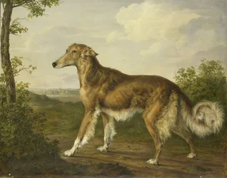 Siberische windhond, c.1825 (olieverf op doek)