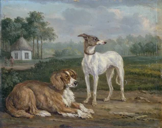 Twee honden