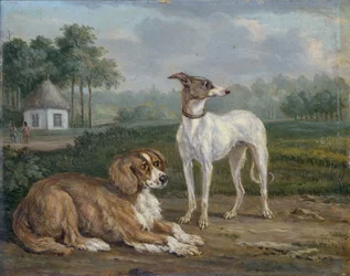 Twee honden