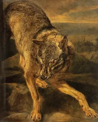 A wolf
