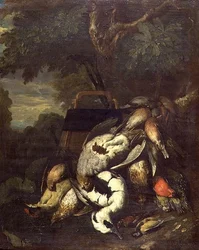 Dode korhoen, specht, eend en andere dode vogels in een bebost landschap