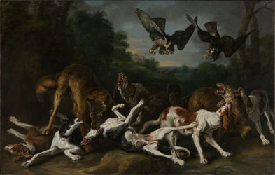 Gevecht tussen honden en wolven