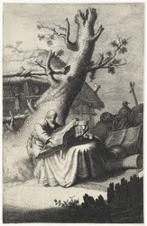 H. Hieronymus lezend onder een boom