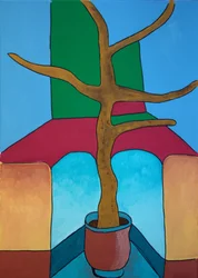 De Bonsai is Niet Bewaterd
