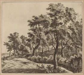 Landschap met een stroom