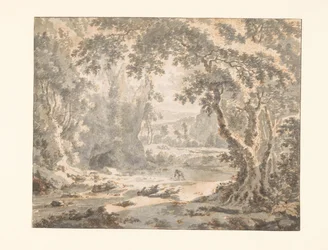 Rivier in een bosachtig berglandschap
