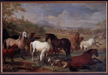Landschappen met paarden
