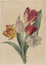Boeket tulpen