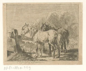 Weiland met twee paarden