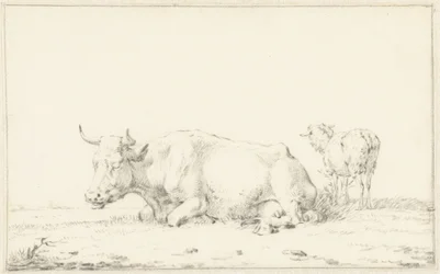 Liggende koe naar links en rechts een schaap