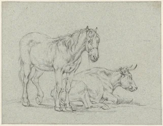 Staand paard en een liggende koe