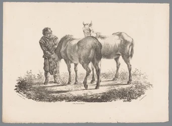 Man en twee paarden