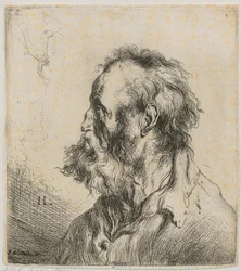 Borstportret van een bebaarde oude man