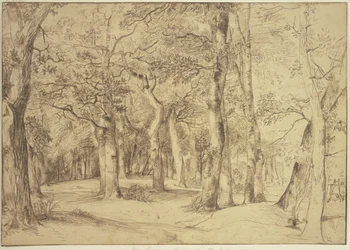 Het binnenste van een bos, rechts zit een schilder aan de ezel