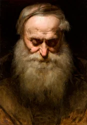 Hoofd van een oude man met een grijze baard