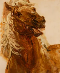 Schets van een paardenhoofd voor het schilderij „Zamoyski bij Byczyna”