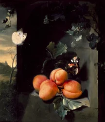 Stilleven met Abrikozen en Vlinders, 1683