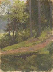 Pad aan de rand van het bos