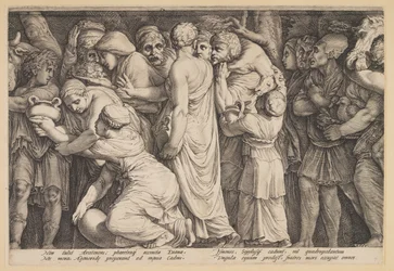 De straf van Niobe (Plaat 7)