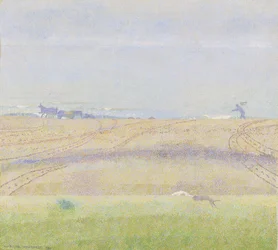Mistige zee