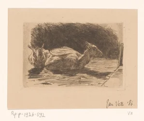 Twee geiten
