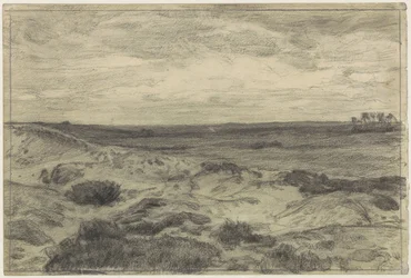 Heidelandschap bij Laren