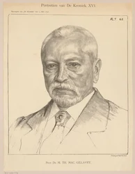 Portret van Theodorus Hendrik Mac Gillavry op 62-jarige leeftijd