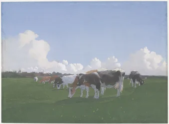 Grazende Koeien in een Weiland