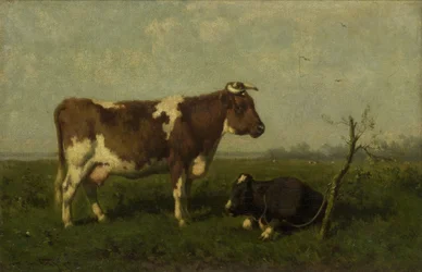 Een koe met haar kalf in een weide