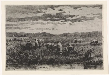 Landschap met schapen