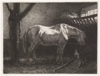 Paard in stal
