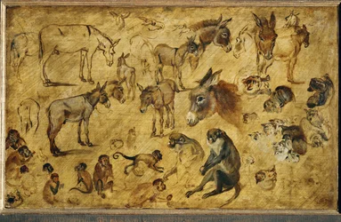 Dierstudies (schilderij op eikenhout)
