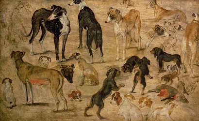 Studie van honden, 1616